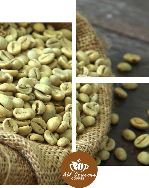 Kenya Arabica coffee processing Call +254 748 108 760